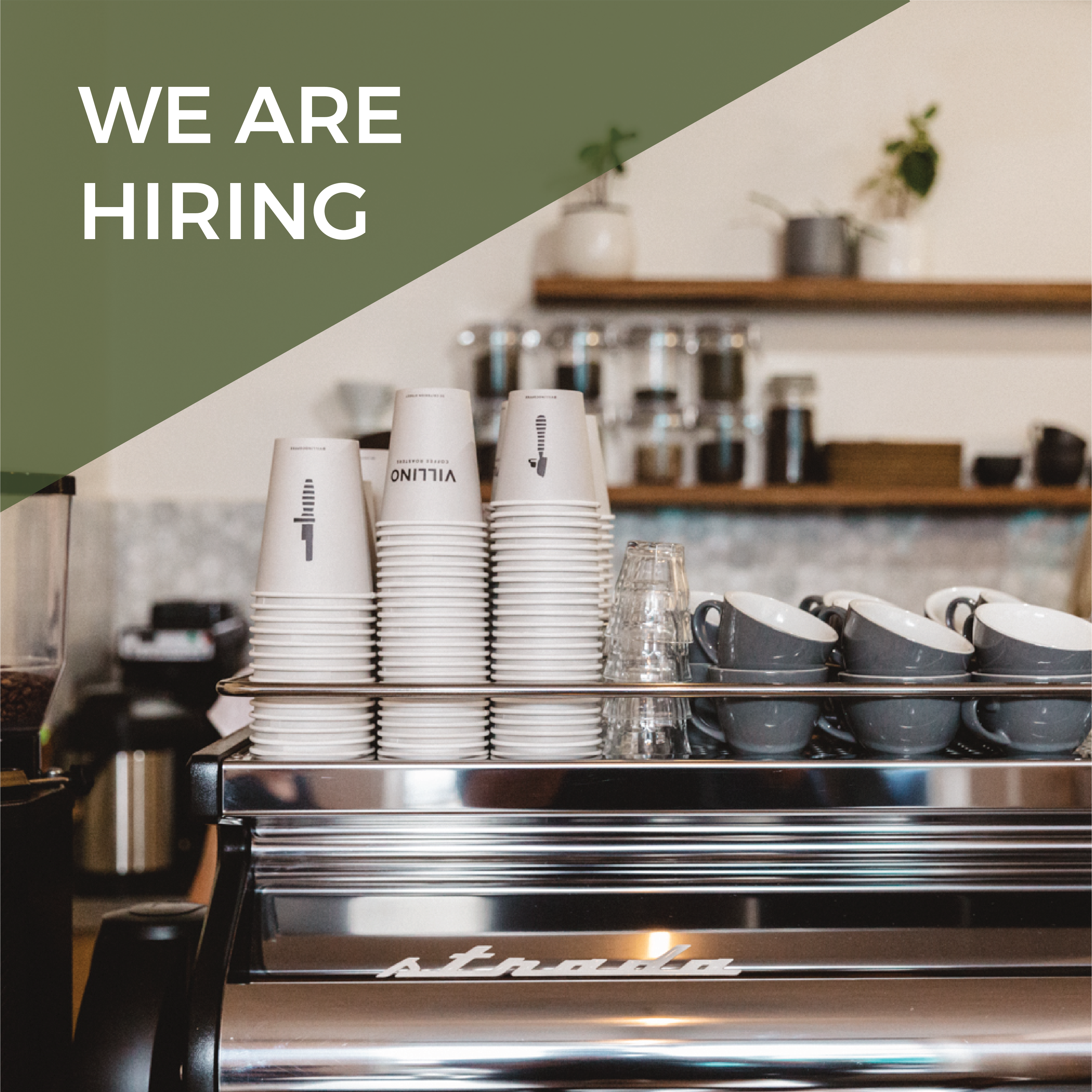 insty-now-hiring-hospo-gun.png insty-now-hiring-hospo-gun.png