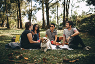 Summer Picnic Dos and Don'ts