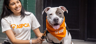 Walker’s Shortbread Partners with ASPCAⓇ Through “Shortbread That Saves” 
