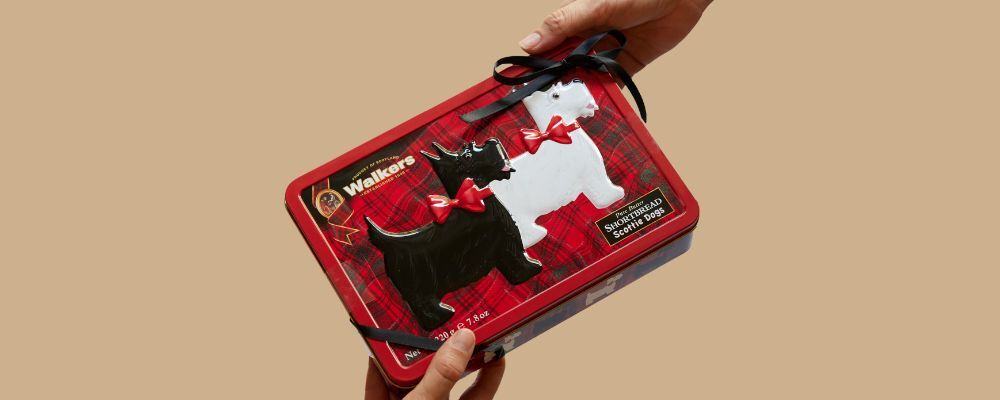 category-banner-better-size-49-1-.jpg category-banner-better-size-49-1-.jpg