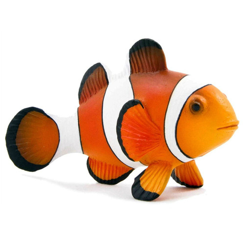 Mojo - Clown Fish