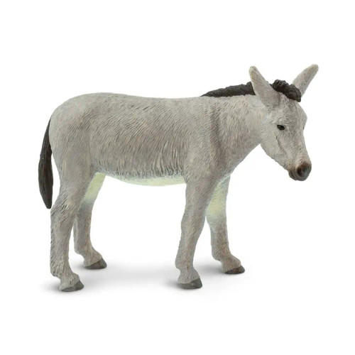 Safari - Donkey