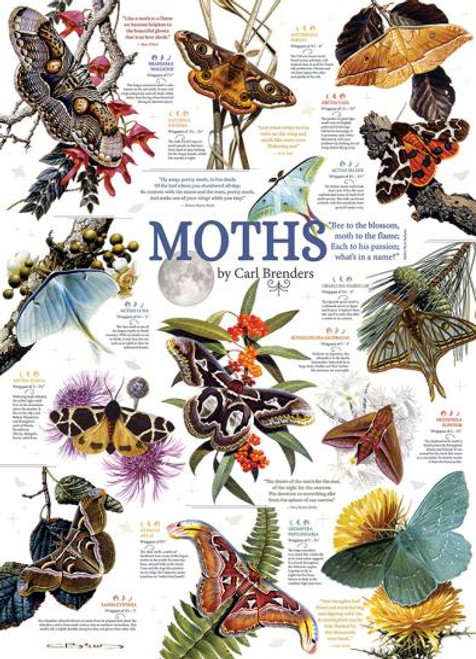 Cobble Hill Puzzle - Moth Collection 1000 piece