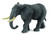 African Elephant