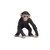 Good Luck Mini Chimp