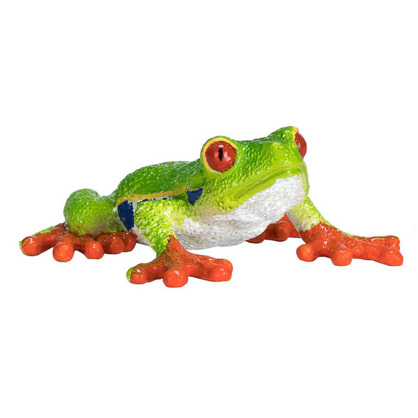 Mojo - Red Eyed Tree Frog