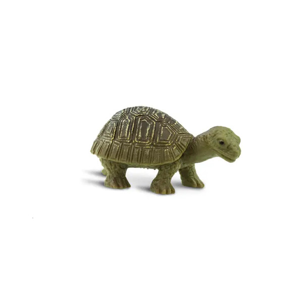Safari - Good Luck Mini - Tortoises