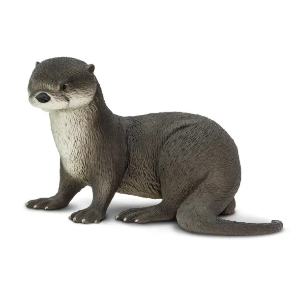 Safari - River Otter 