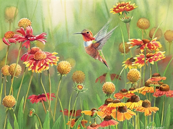 Rufous Hummingbird 500 piece