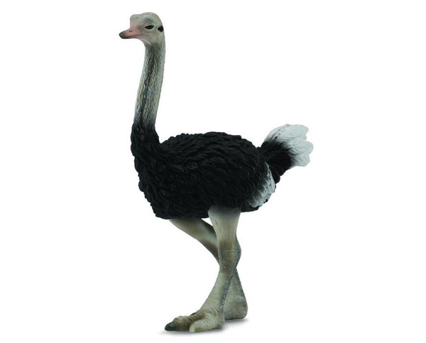 Breyer Collecta - Ostrich