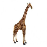 Portraits in Nature Toys