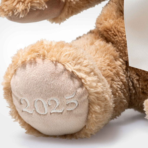 2025 Cozy Teddy Bear of the Year | Bograd Kids Toys NYC