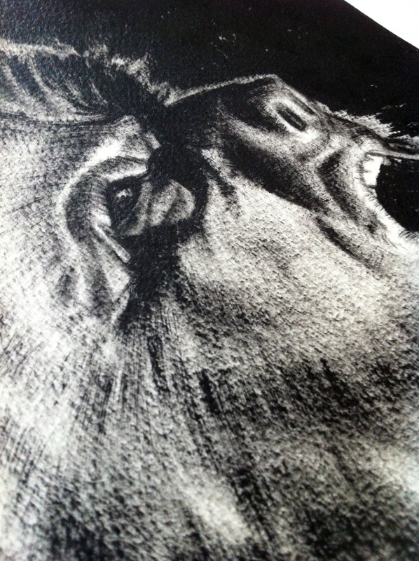 Wolf Man: study drawing