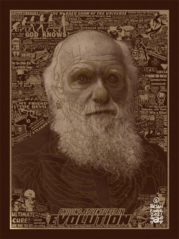 EVOLUTION: Screen print reg version