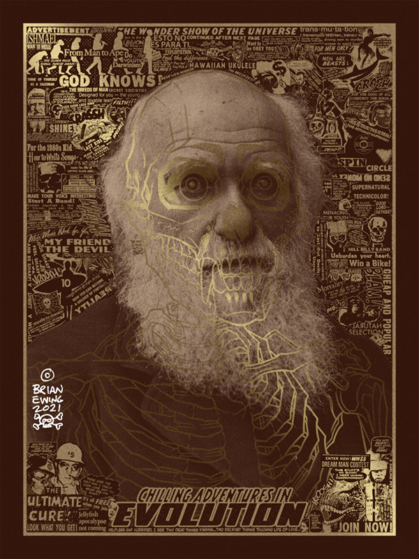 EVOLUTION: Screen print reg version