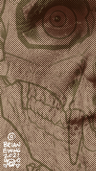 EVOLUTION: Screen print reg version