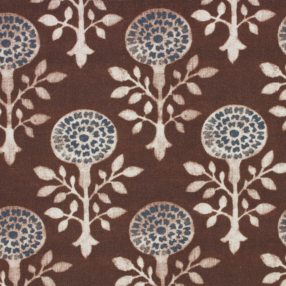 ASHIRA-CLOVE