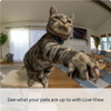 Ring Pan-Tilt Indoor Camera