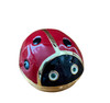 Rucinni Ladybug Hinged Box