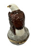 Bald Eagle With American Flag Limoges Box