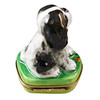 Tri Color King Charles Spaniel Rochard Limoges Box