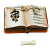 Veterinarian Book Rochard Limoges Box