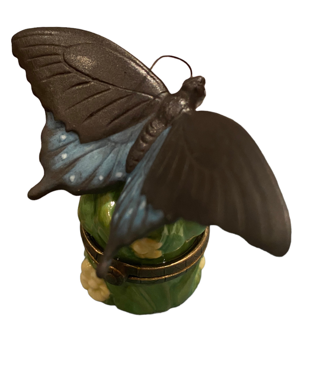 Green Swallowtail Butterfly PHB