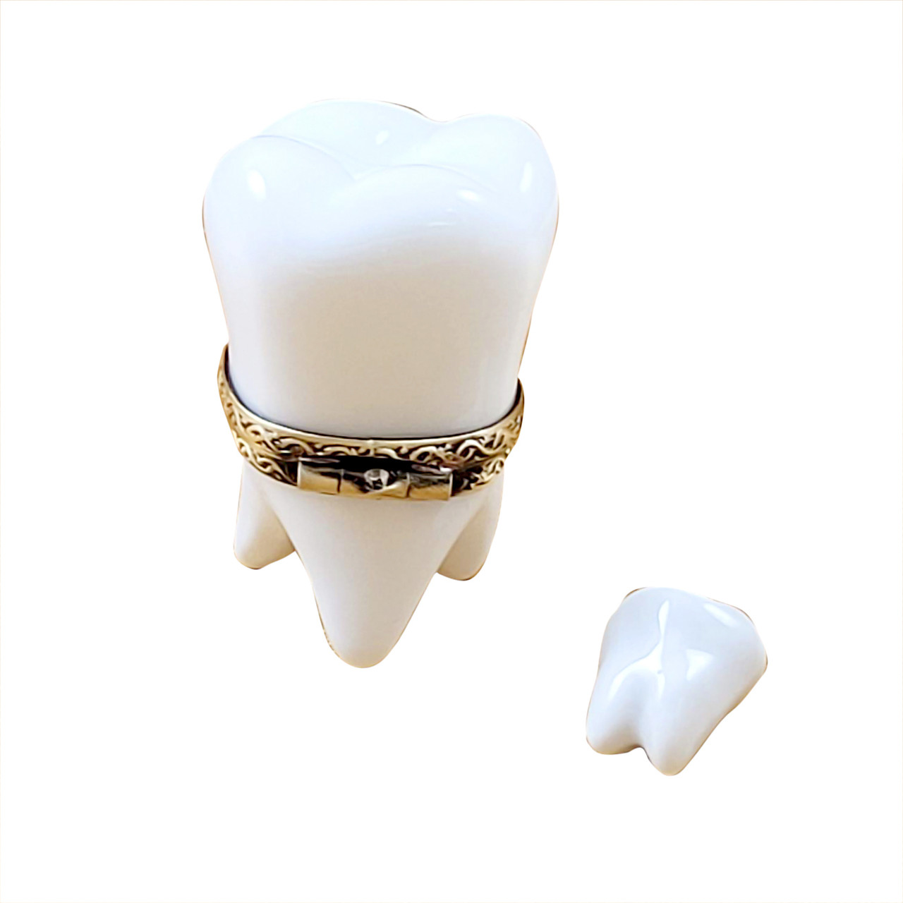 Large White Baby Tooth W/Removable Tooth Limoges Box RB106