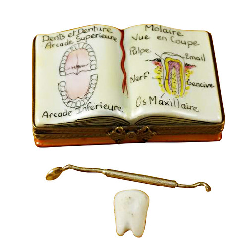Limoges Imports Dentistry Book Limoges Box