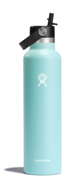 Standard Mouth 24oz Insulated Water Bottle w/ Flex Straw