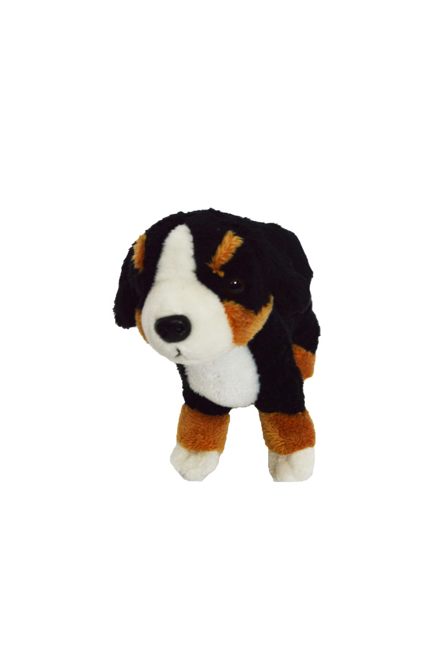bernese mountain dog raincoat