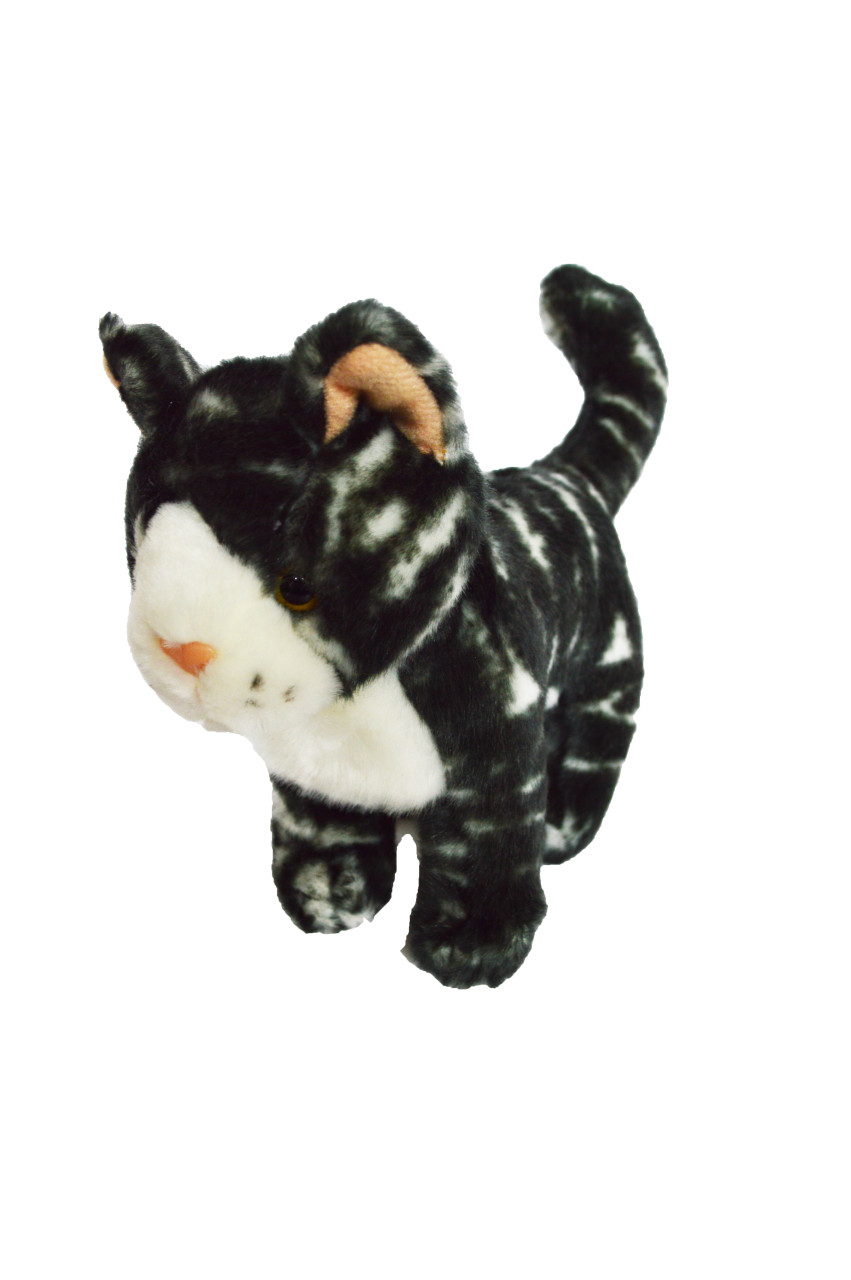 american girl grey cat