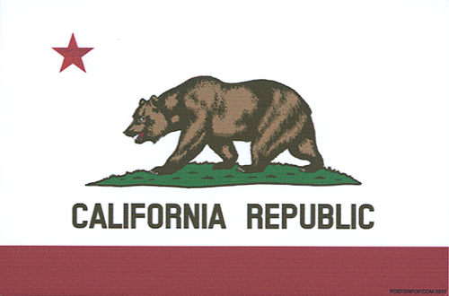 Pop Industries Cal Bear Flag Sticker, California, State Flag, Car Sticker, Decal, California Republic