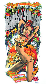 Rockin Jellybean Cave Rock Haven Silkscreen Poster Image