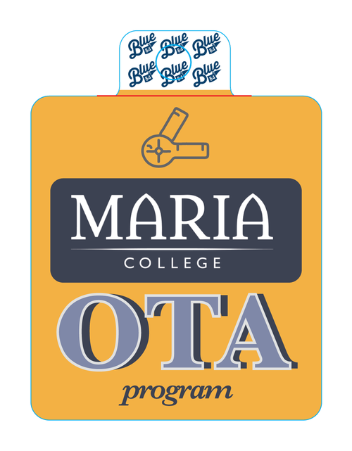 OTA Program