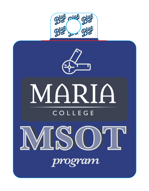 MSOT Program