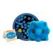Common Cold Giant Microbe