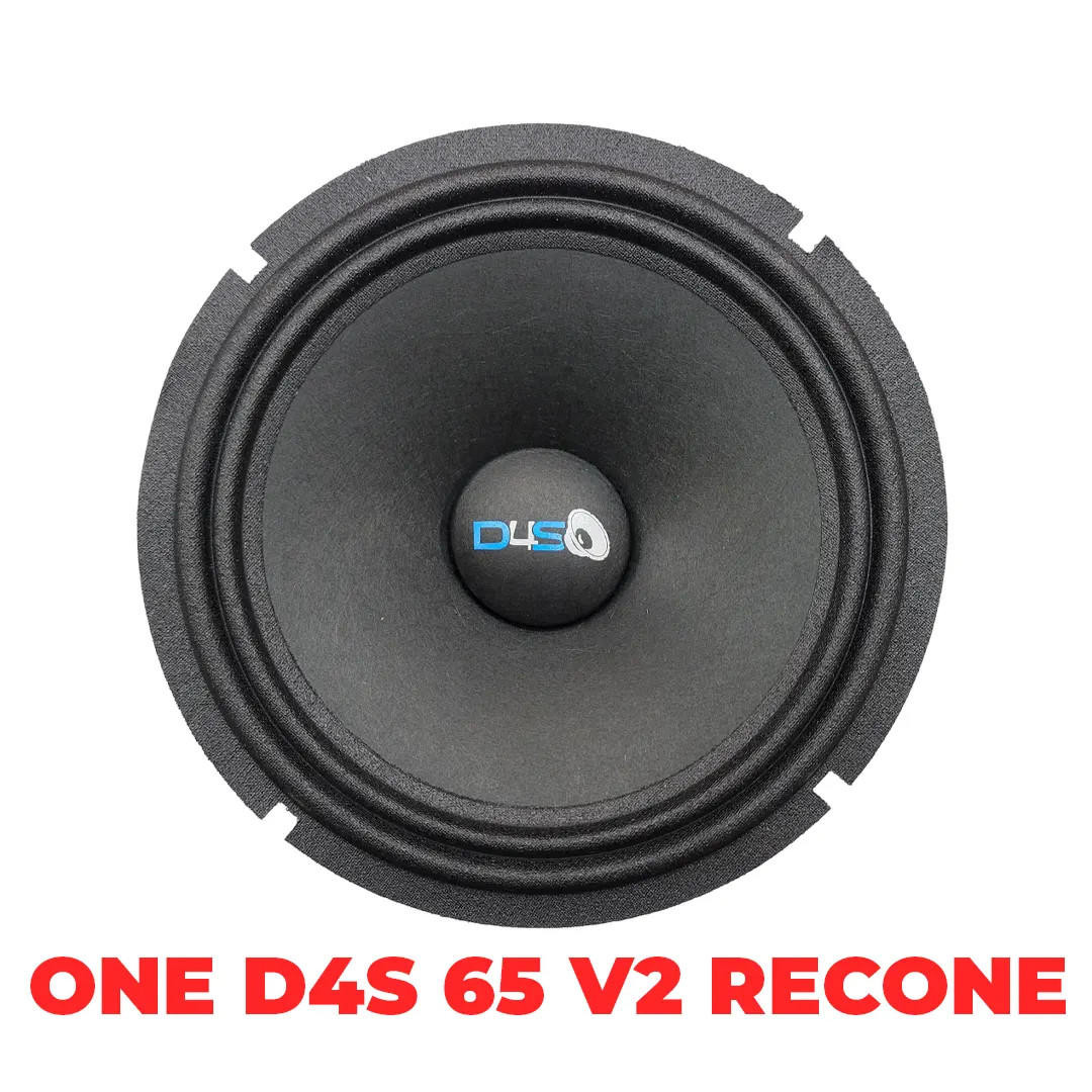 DOWN4SOUND PRO AUDIO RECONE 6.5