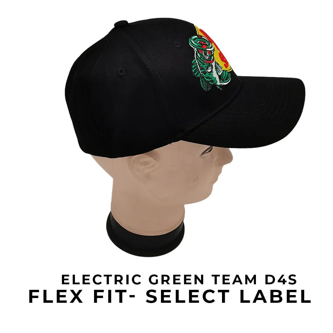 DOWN4SOUND | TEAM D4S BASSHEAD PRO SELECT LABEL FLEX FIT CURVED