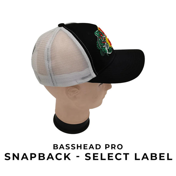 Down4Sound TEAM D4S BASSHEAD PRO Select Label SNAP BACK with MESH CURVED BILL Hat