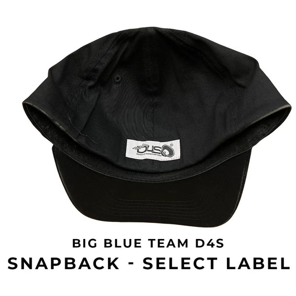 Down4Sound TEAM D4S BIG BLUE Select Label FLEX FIT CURVED BILL Hat