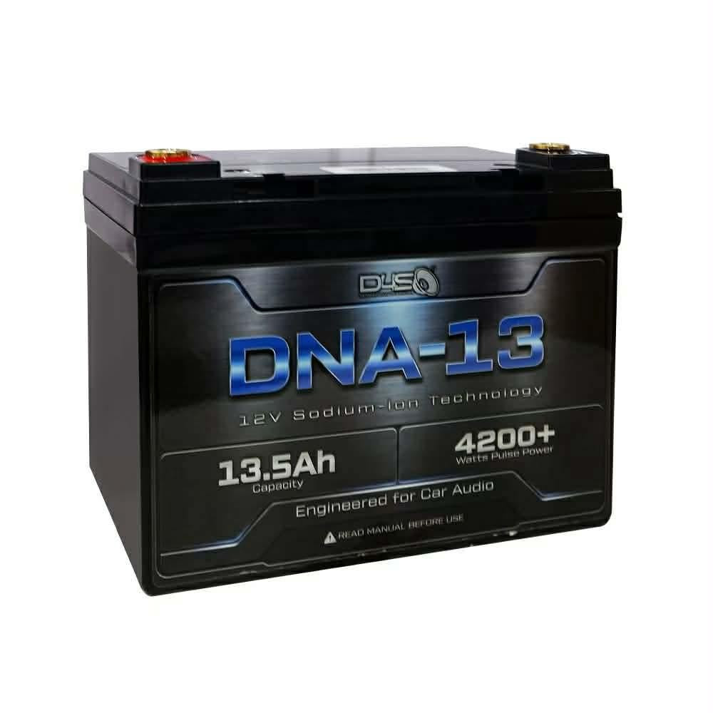 D4S DNA-13 sodium ion battery