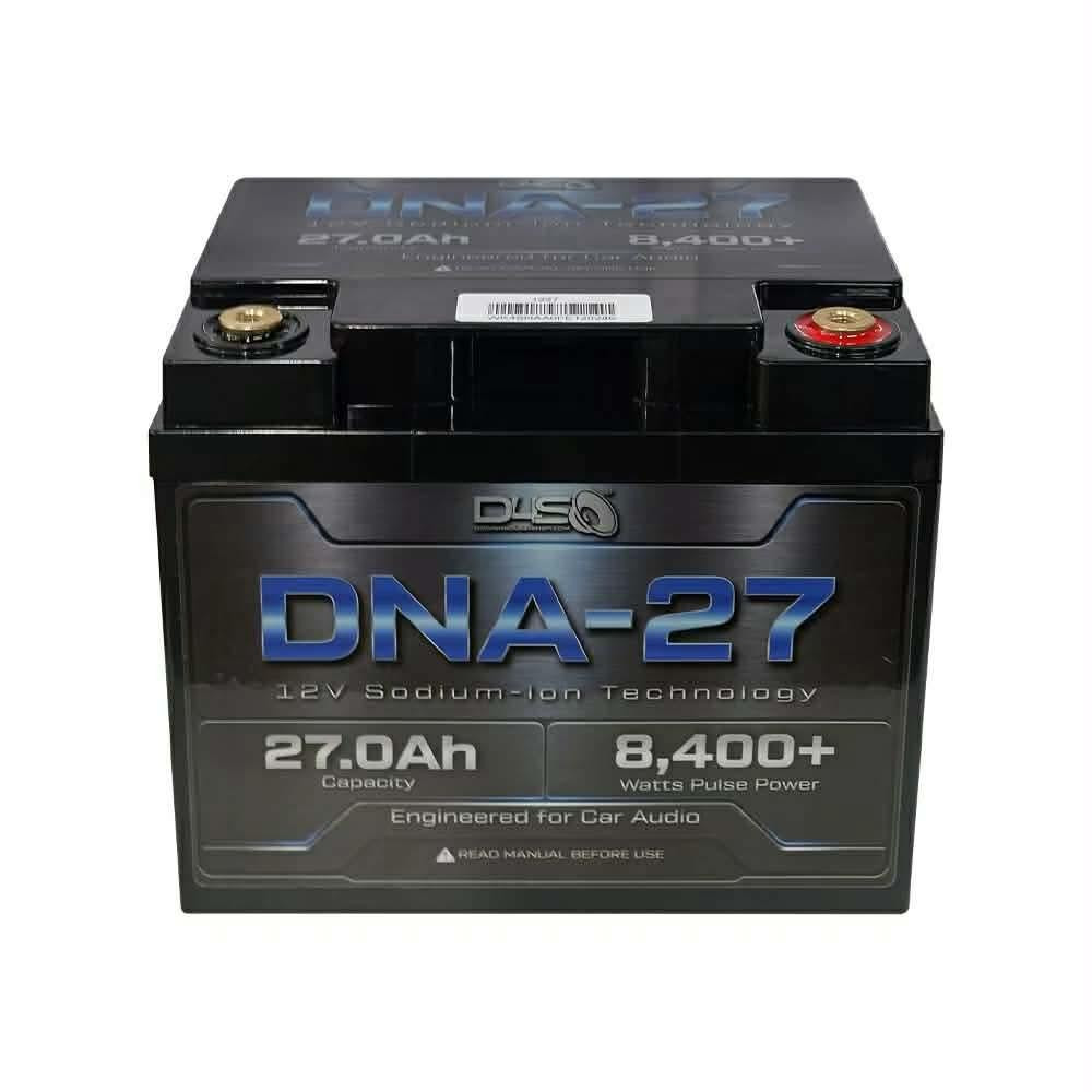 D4S DNA-27 sodium ion battery