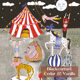 Circus illustration for the 200ml tin candle