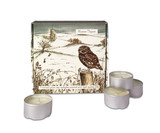 Wholesale, wildlife illustrated box of 9 tealight candles made with natural, soy, vegan wax and fragrance & essential oils. Aroma: Winter Thyme, Illustration: Little Owl, farmgate, winter scene, Christmas