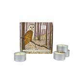 Wholesale, winter illustrated box of 9 tealight candles made with natural, soy, vegan wax and fragrance & essential oils. Aroma: Starry Night - Nutmeg, Orange & Cinnamon, Illustration: Owl and Woods