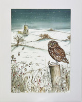 Sarah Pettitt's beautiful box art designs are now available in mounted A4 prints exclusively for Heaven Scent. Illustration: Little Owl, Winter Thyme