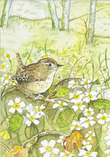 Sarah Pettitt's beautiful box art designs are now available in unmounted A4 prints exclusively for Heaven Scent. Illustration: Wren & Primroses