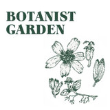 Heaven Scent’s Green Botanical natural, soy, vegan candle inspired by the ancient knowledge of plants and beliefs that surround them. Aroma: Botanist Garden
