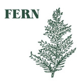 Heaven Scent’s Green Botanical natural, soy, vegan candle inspired by the ancient knowledge of plants and beliefs that surround them. Aroma: Fern